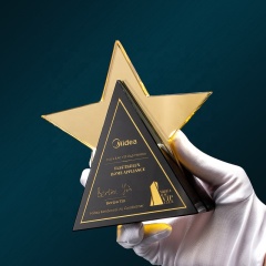 récompenses en cristal personnalisées trophée vitré prix de la société en forme d'étoile