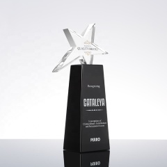K9 Crystal Awards Sterngravur Sport Trophäen aus schwarzem Blockglas, Würfelkristall-Rohling-Trophäe