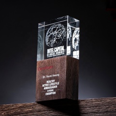 Premio de cristal de alta calidad, placas de trofeos de cristal personalizadas Nobles, premios de escudo de madera