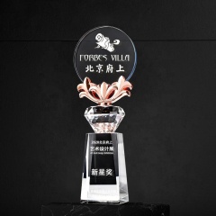 2021 nouveau prix de trophée de cristal personnalisé exquis de haute qualité pour le cadeau de champion