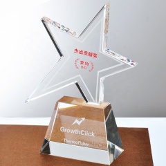 Récompenses en verre de cristal d'étoile de trophée en cristal de pentagone de conception unique
