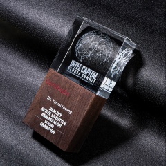 Récompense en cristal de haute qualité Noble trophées en cristal personnalisés plaques récompenses de bouclier en bois