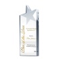 Hot Sale Blank Crystal Star Shape Trophy Customized Engraved Crystal Trophy Award
