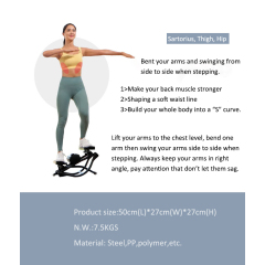 BNcompany TBJ-001 Mini swing stepper exercise machine Stair steppers Cardio Twister