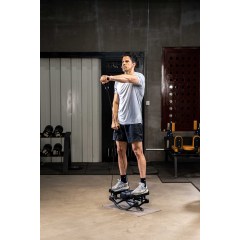BNcompany TBJ-001 Mini swing stepper exercise machine Stair steppers Cardio Twister