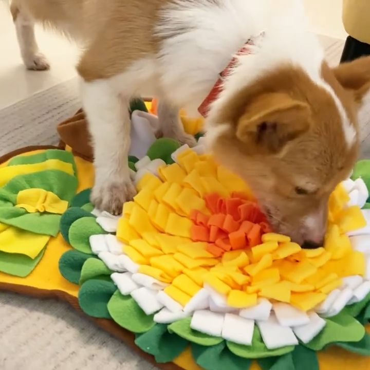 Unwind Your Pup: How a Dog Snuffle Mat Reduces Anxiety and Boredom